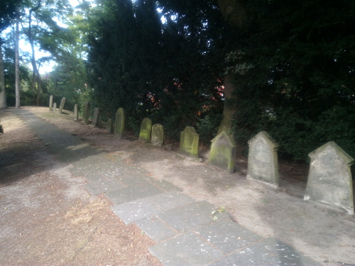 Click on the photo for the original